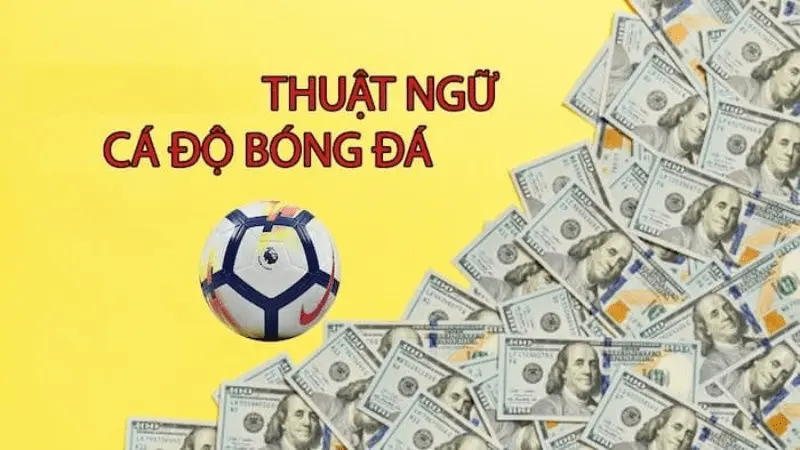 Thuật ngữ về kèo Châu Á và Tài Xỉu